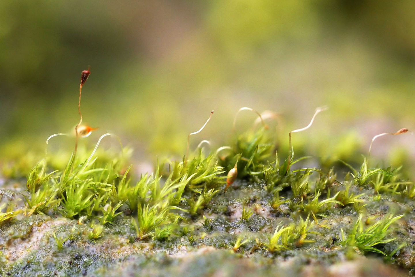 Image: Jonathan Sleath image